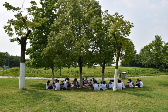 7777777.png 7777777.png