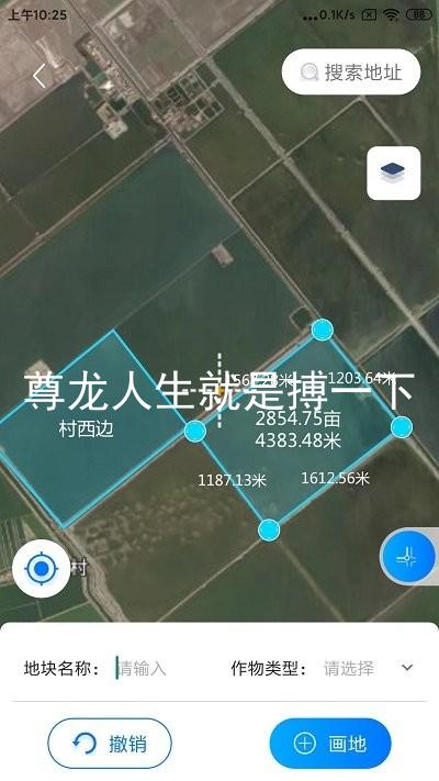 尊龙人生就是搏一下