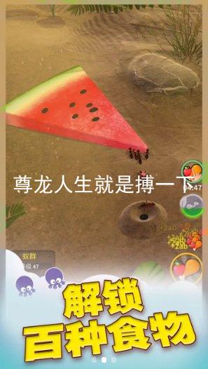 尊龙人生就是搏一下