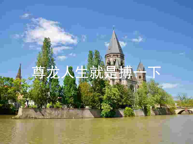 尊龙人生就是搏一下