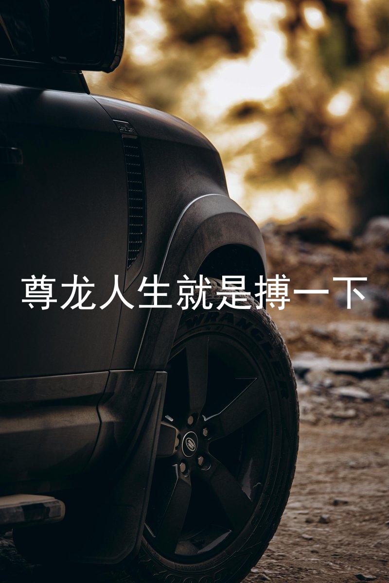 尊龙人生就是搏一下