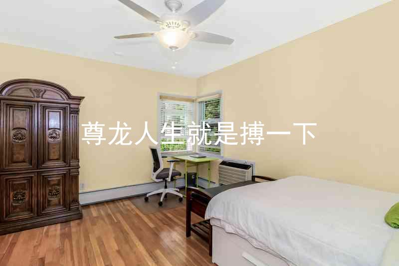 尊龙人生就是搏一下