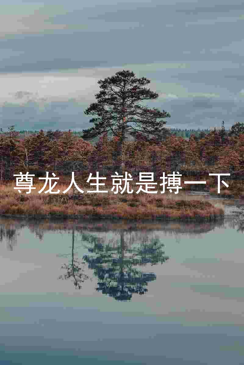 尊龙人生就是搏一下
