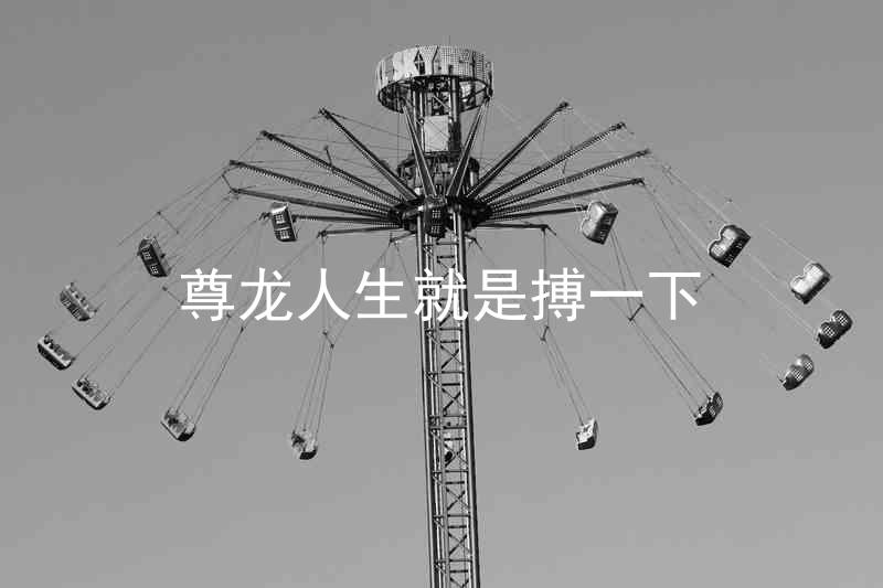 尊龙人生就是搏一下