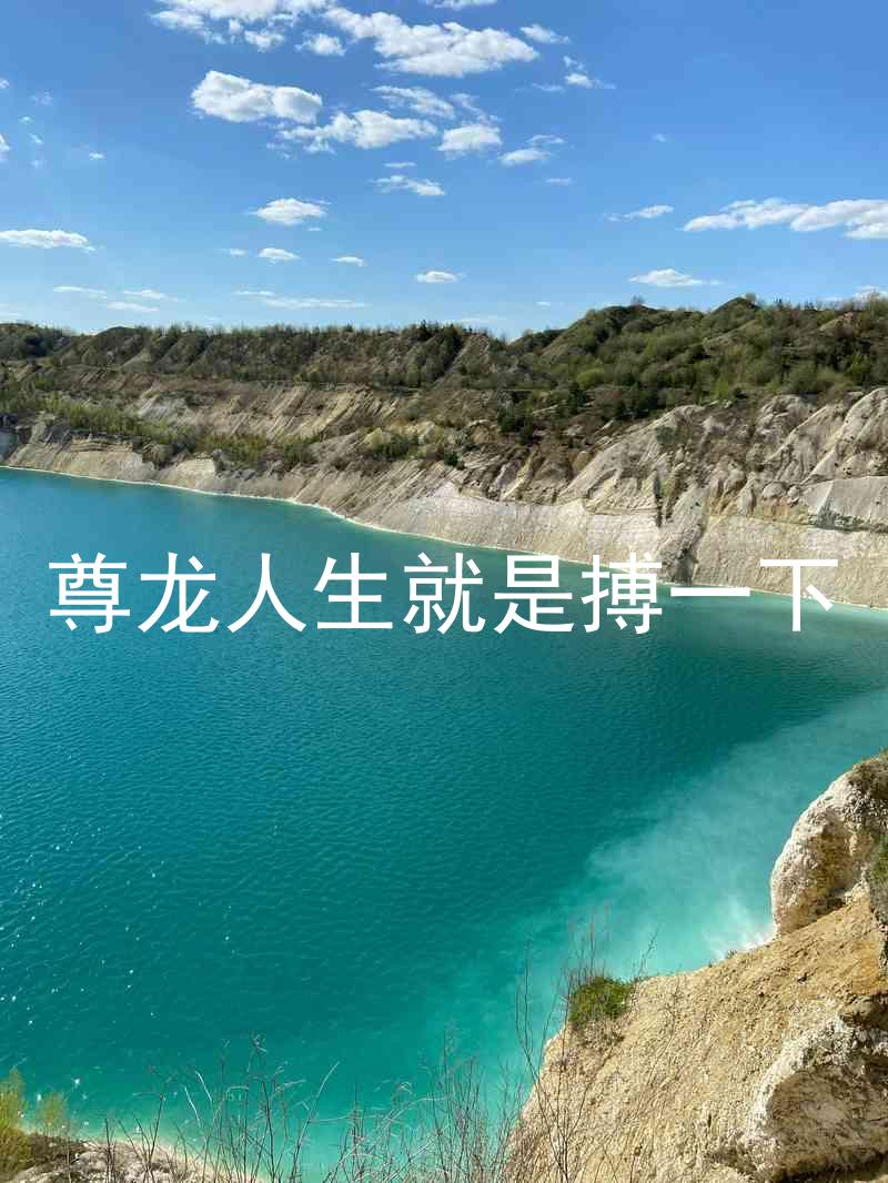 尊龙人生就是搏一下