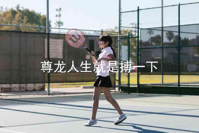 尊龙人生就是搏一下