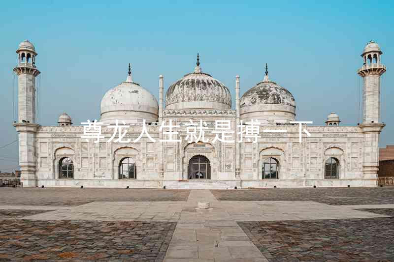 尊龙人生就是搏一下