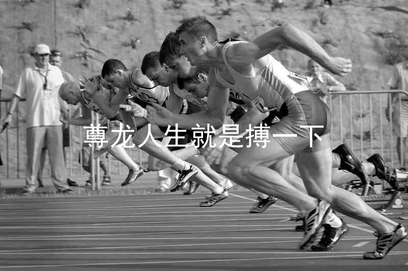 尊龙人生就是搏一下
