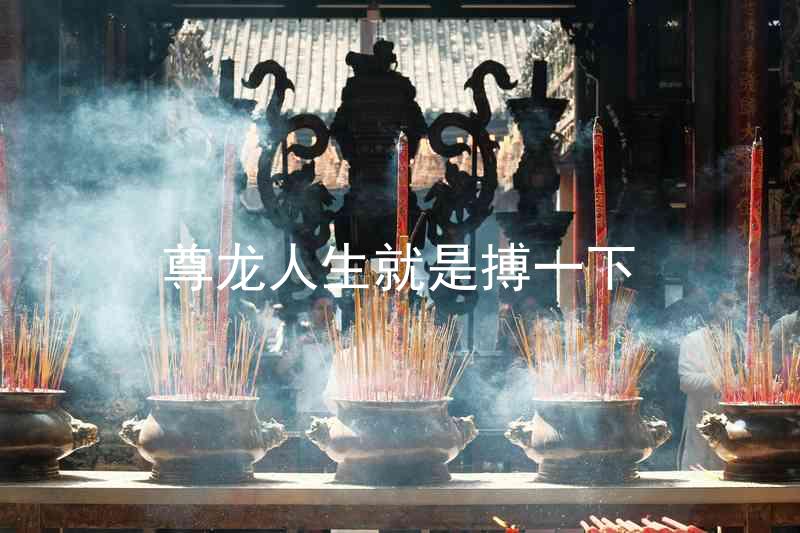 尊龙人生就是搏一下