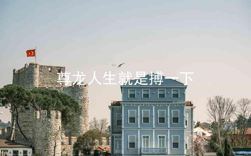 尊龙人生就是搏一下